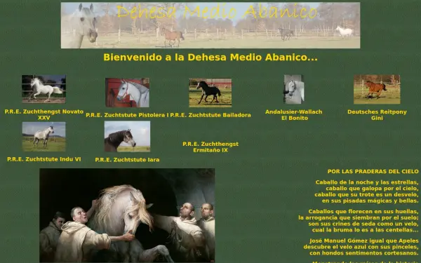 andalusier-zuchthengst.de