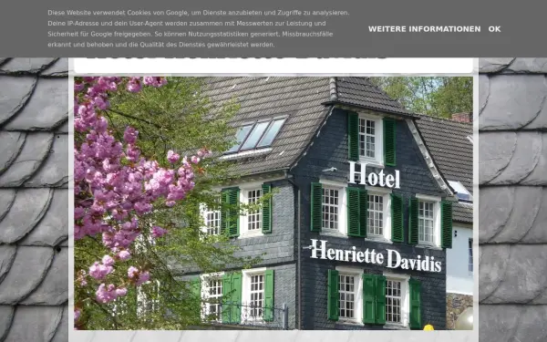 hotelhenriettedavidis.blogspot.com
