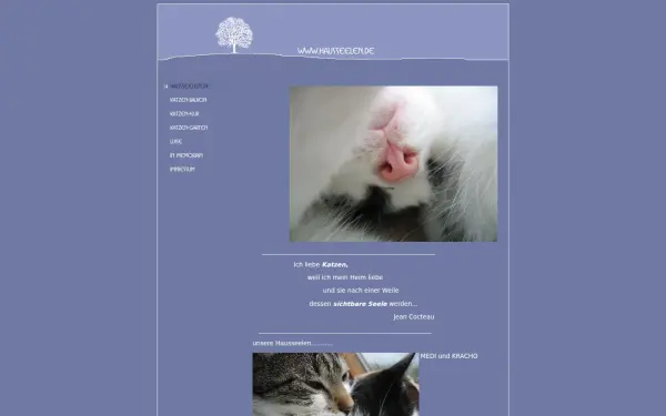 medicats.de