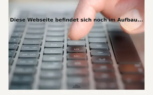 www.asinger.de