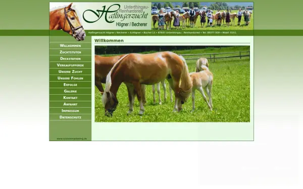 www.haflingerzucht-hoegner.de