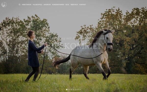 johanna-thanheiser.at