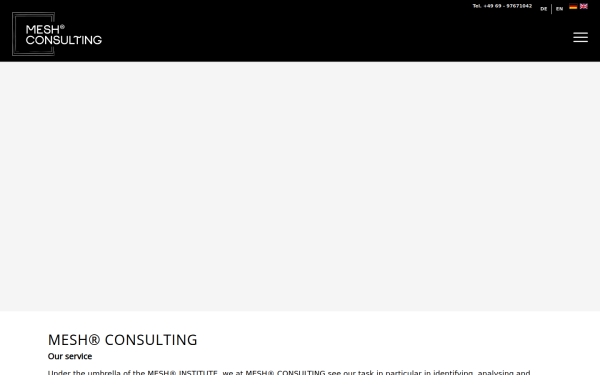 mesh-consulting.de
