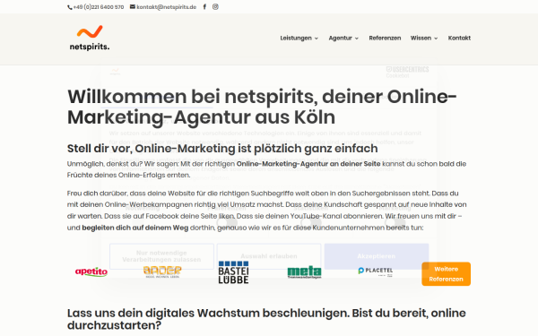 www.netspirits.de