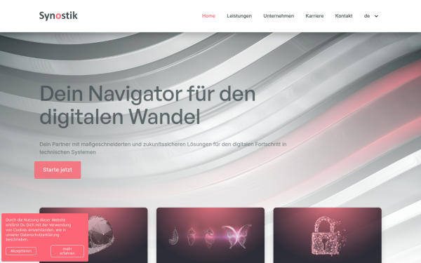 www.synostik.de