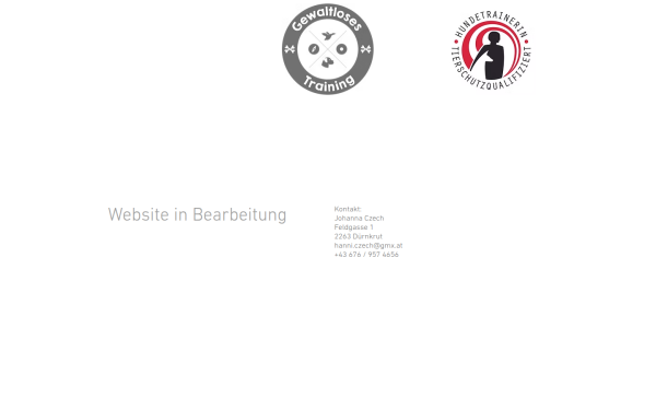 www.gewaltlosestraining.at