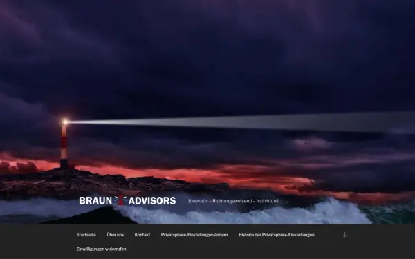 braun-advisors.com