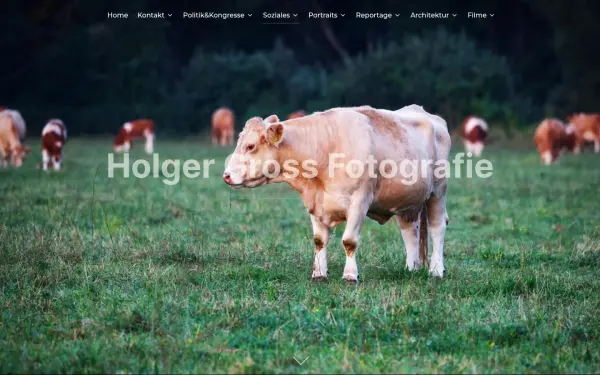www.holgergross.de