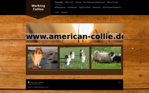 www.american-collie.de