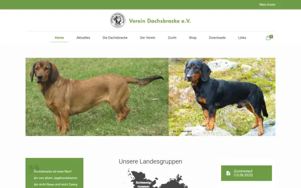 www.dachsbracke-online.de