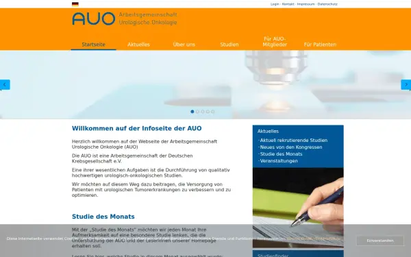 auo-online.de