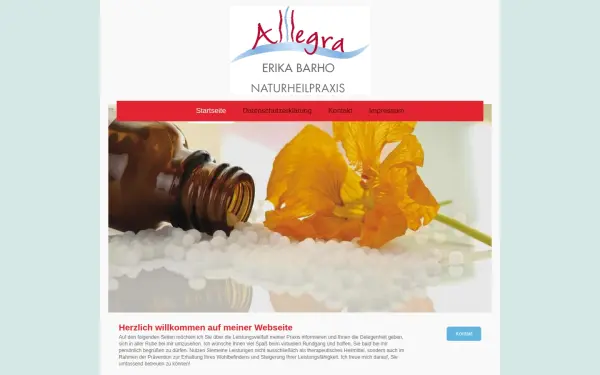 www.allegra-institut.de