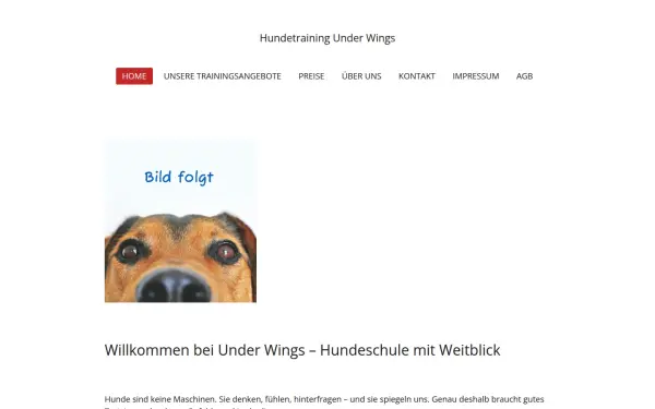 www.under-wings.de
