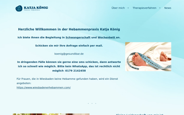 gesundibar.de