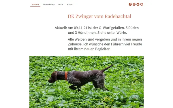 www.dk-vom-radebachtal.de