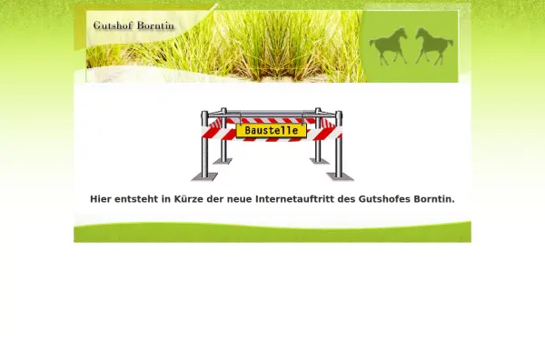 gutshof-borntin.de