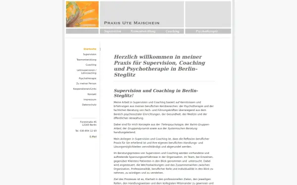 maischein-supervision.de