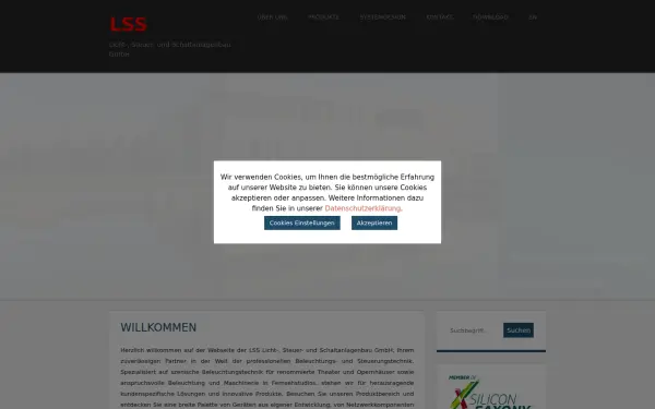 lss-lighting.de