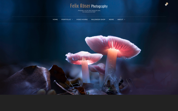 felix-roeser.de