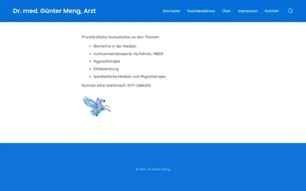 dr-meng.de