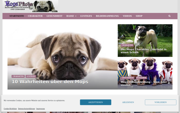 www.mops-pfote.com