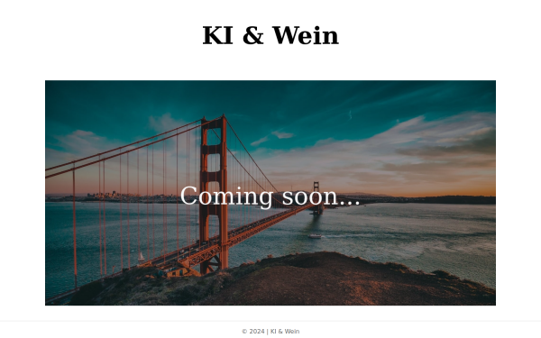 ki-und-wein.at