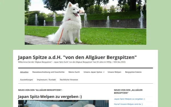 allgaeuer-spitze.de