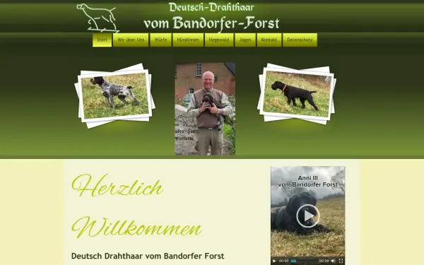 bandorfer-forst.de