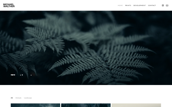 michael-walther.com