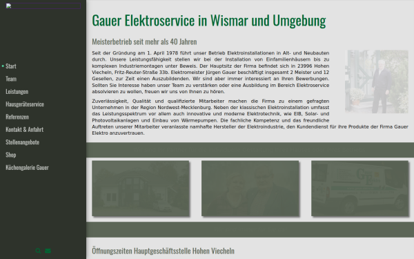 gauer-elektro.de