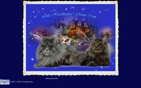 main-coon-the-little-heartbreakers.de