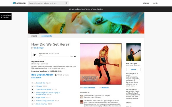 bludetiger.bandcamp.com
