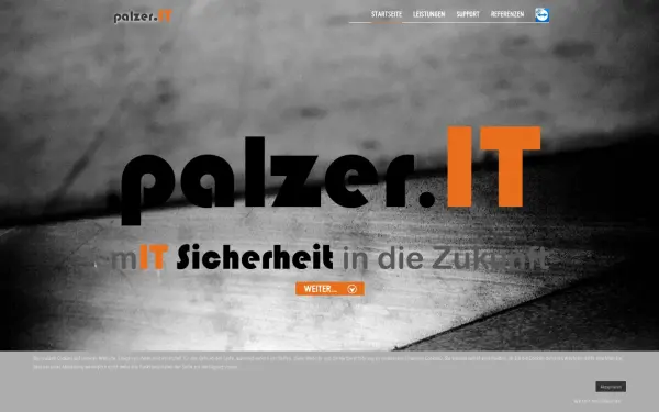 www.palzer.it