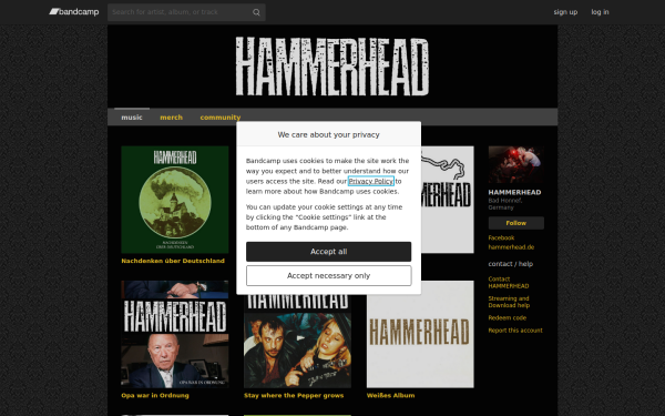 hammerheadpunk.bandcamp.com