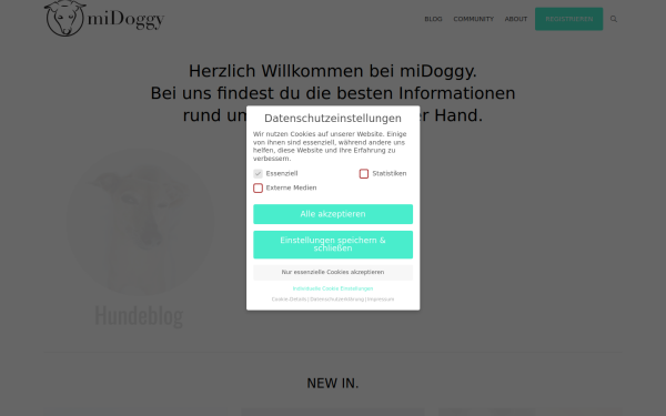 midoggy.de
