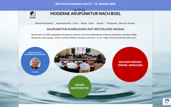 www.moderneakupunktur.de