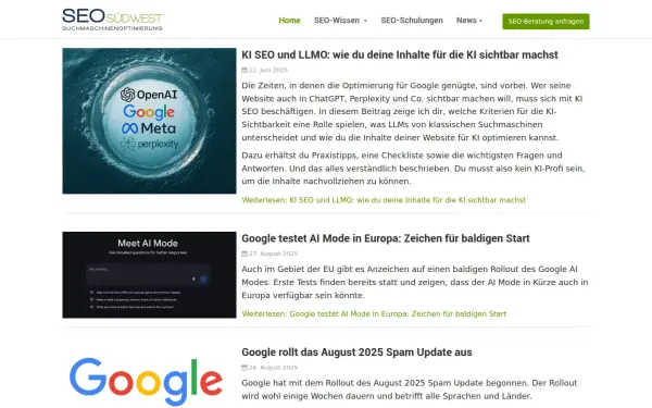 seo-suedwest.de