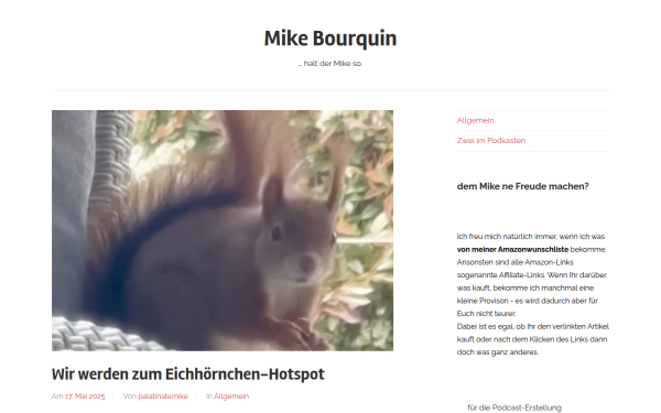 mikebourquin.de