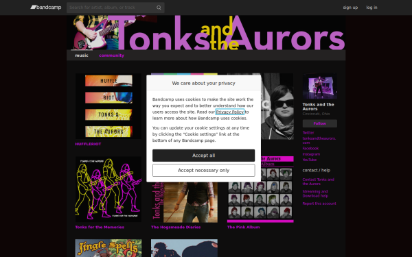 tonksandtheaurors.bandcamp.com