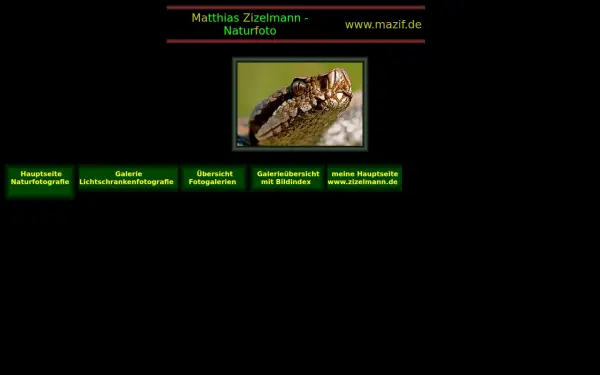 mazif.de
