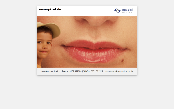 msm-pixel.de