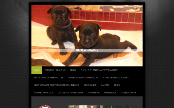 www.of-styriavalley.at