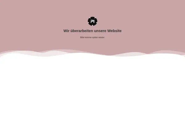 b2pi.de