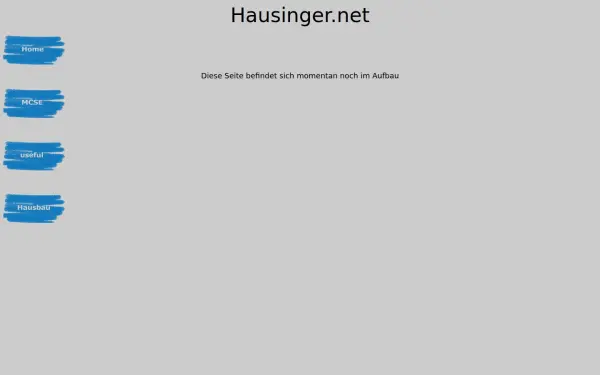 h-a-u-s-i-n-g-e-r.de