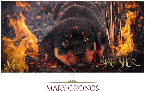 mary-cronos.world
