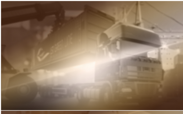 greenlineint.de