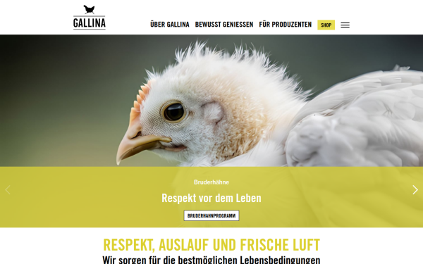 www.gallina.bio