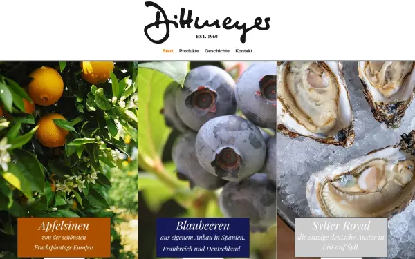www.dittmeyer.com