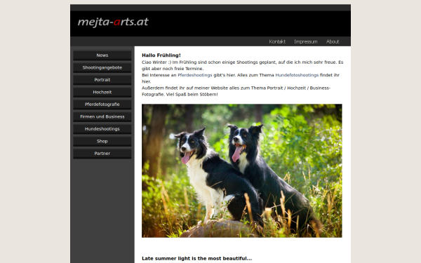 mejta-arts.at