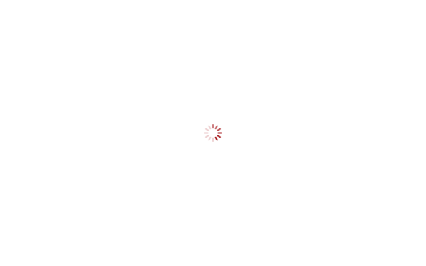 www.vorgespraech.de